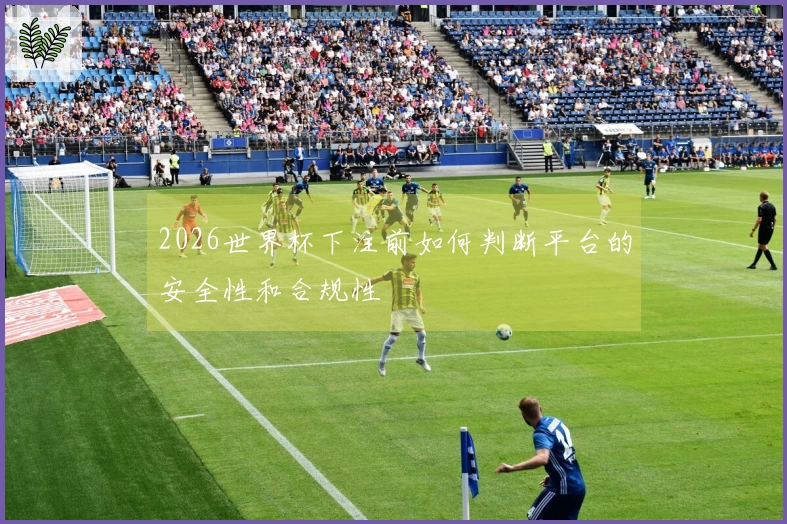 2026世界杯下注前如何判断平台的安全性和合规性