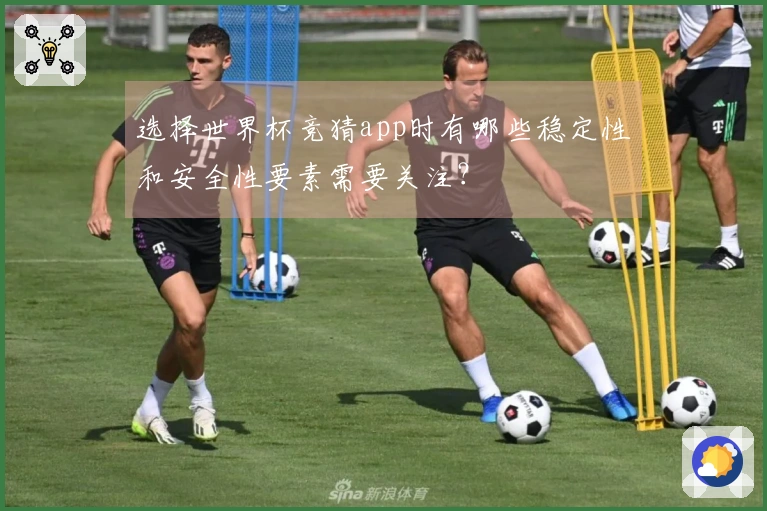 选择世界杯竞猜app时有哪些稳定性和安全性要素需要关注？